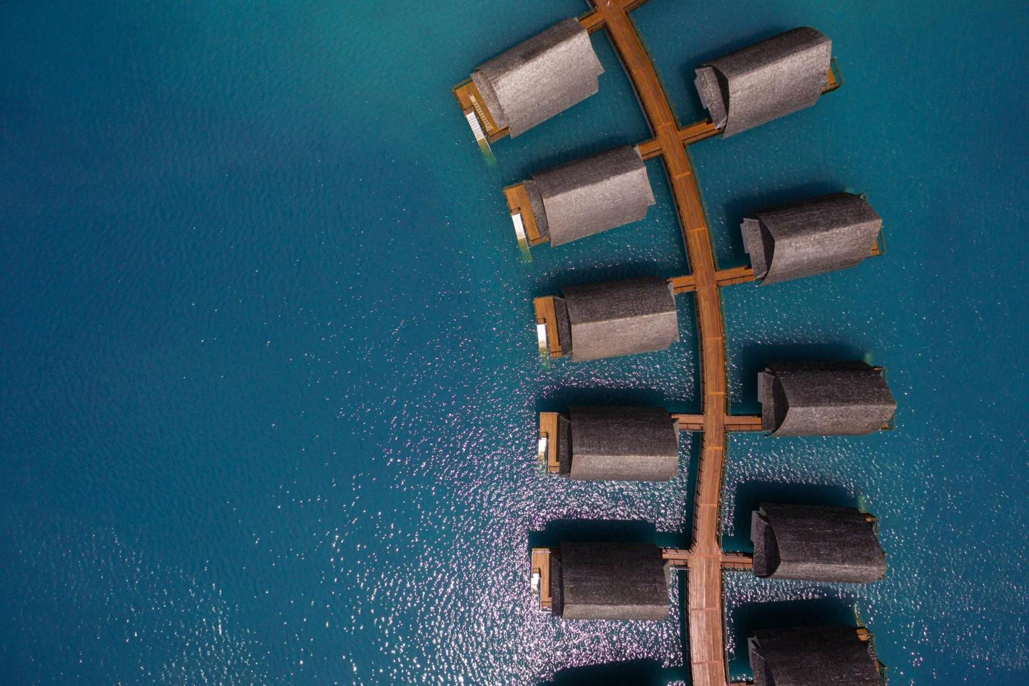 Fiji Marriott Resort Momi Bay Екстериор снимка A tree of 1000000000000000000000000000000000000000000000000000000000000000000000000000000000000000000000000000000000000000000000000000000000000000000000000000000000000000000000000000000000000000000000000000